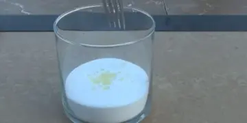 Her house always smells great and nobody knows why … This is her secret!